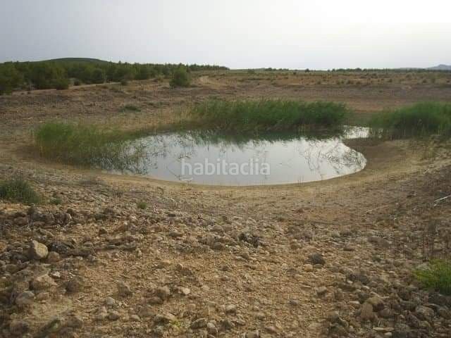 Foto f3485388-981e-41bf-957f-8e7cfa09c0b5. Finca rústica a Yecla