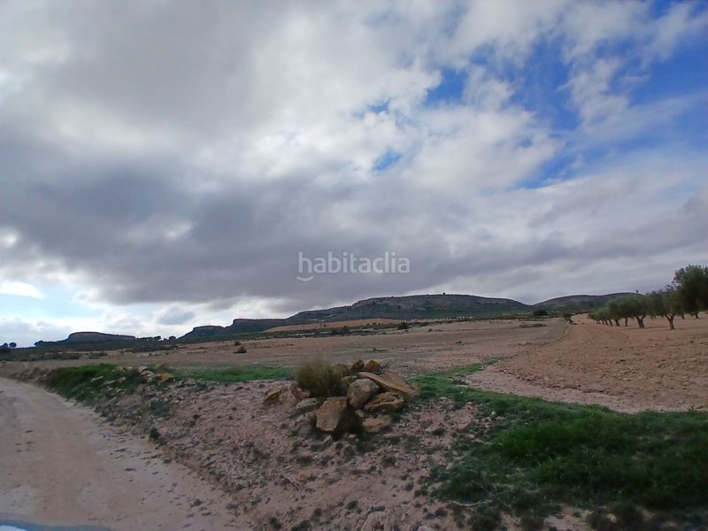 Foto f39ce186-b6cd-451e-8ca2-95508230d0b7. Finca rústica a Yecla