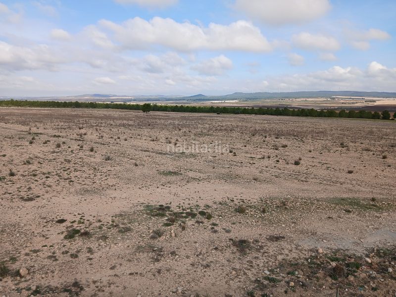 Foto fd89de9a-f80c-444a-96f7-81e9ab21089a. Finca rústica a Yecla