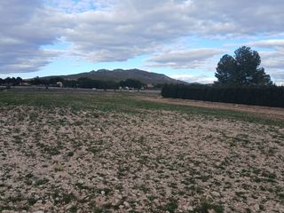 Fondo rustico in Yecla
