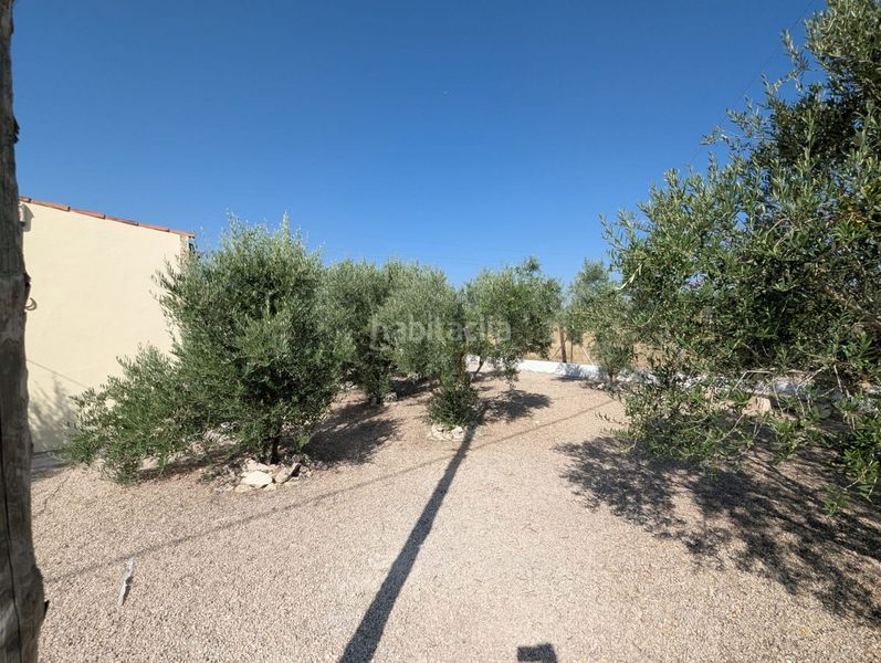 Foto 96b23408-2de7-4cf2-b912-06e9f3be598f. Masia a Sax