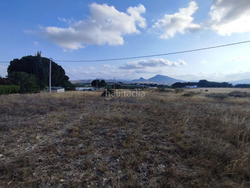 Foto 4dfb6902-014c-4d95-86f3-7f3ce88aeeb7. Finca rústica en Sax