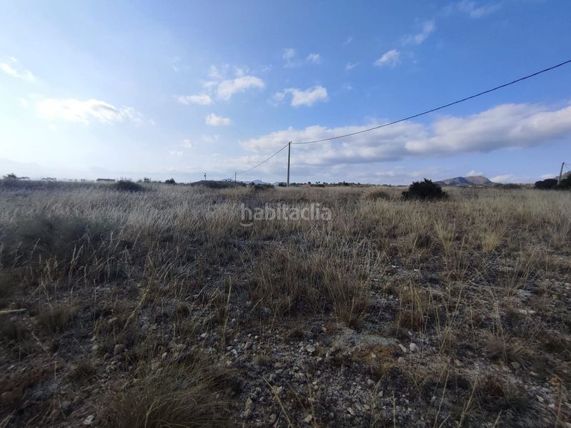 Foto a2ae732f-92fb-4f21-9756-bd6f790a7cbc. Finca rústica en Sax