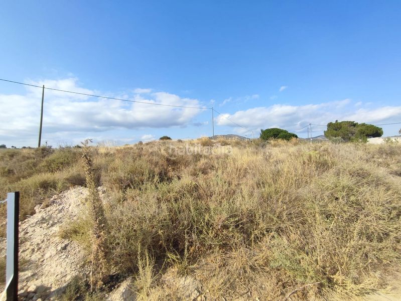 Foto cdd79b98-a309-4860-8d28-101b3da4db11. Finca rústica en Sax