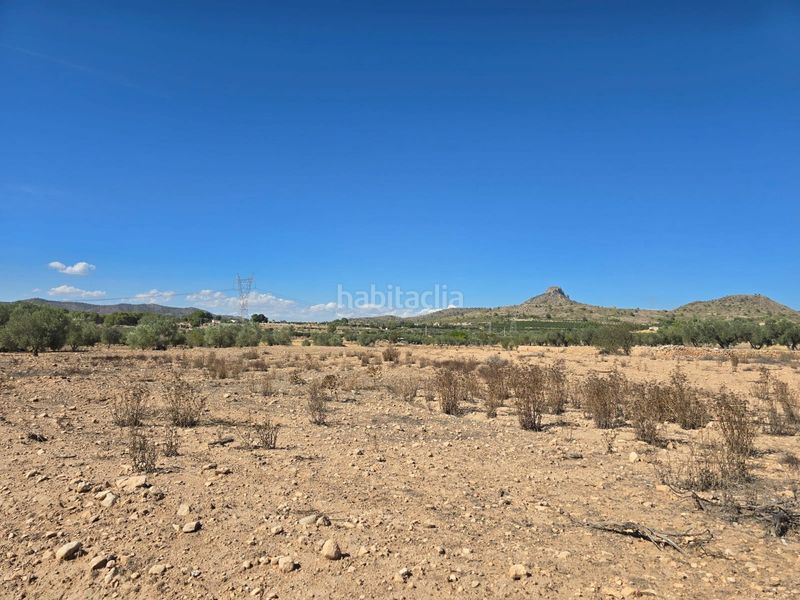 Foto 442f2f08-e63d-4296-b1e2-36317f4af0c9. Finca rústica a Salinas