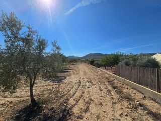 Rural plot in Salinas