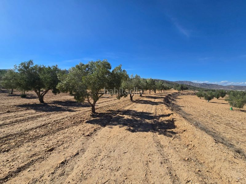 Foto a56eb82c-ab73-4137-9254-c71b753bd4e8. Finca rústica a Salinas