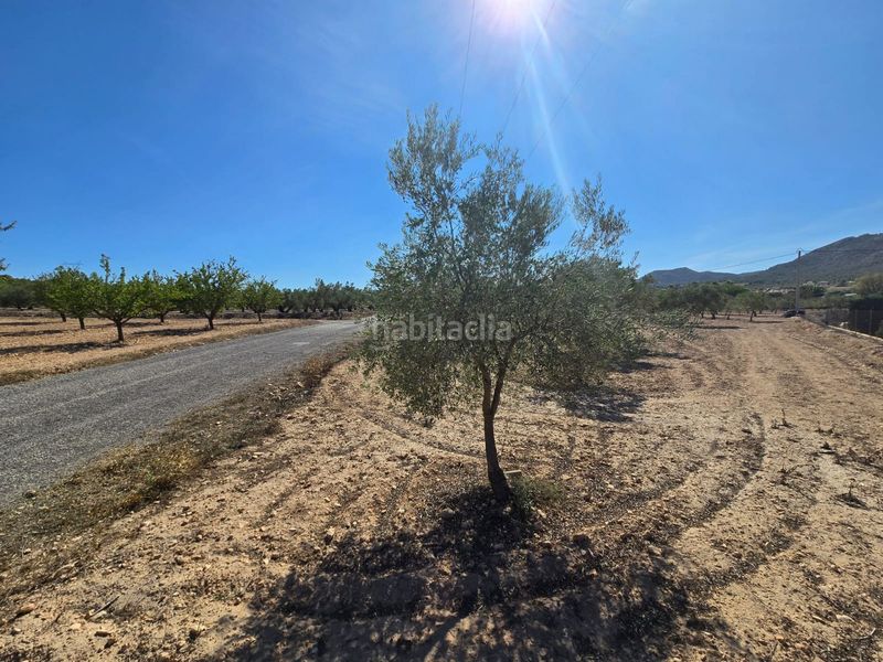 Foto beaaa831-7172-41ff-bf01-d15961dfb847. Finca rústica a Salinas