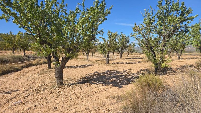 Foto b9af2a8b-9522-46f1-aacf-913a5b67fa69. Finca rústica a Salinas