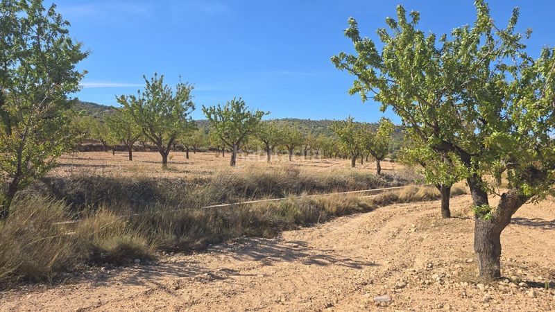 Foto bef7e51d-89e6-4123-9754-65f6dacff1c4. Finca rústica a Salinas