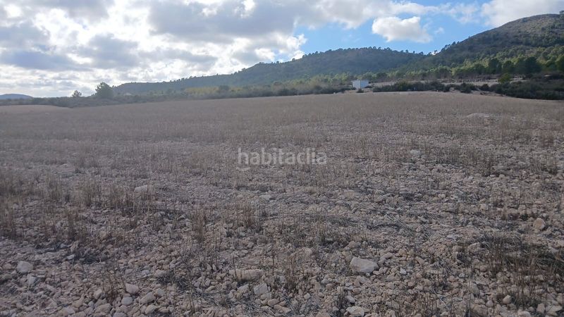 Foto 3ff8b75f-4331-4499-997a-875ee0422462. Finca rústica a Yecla