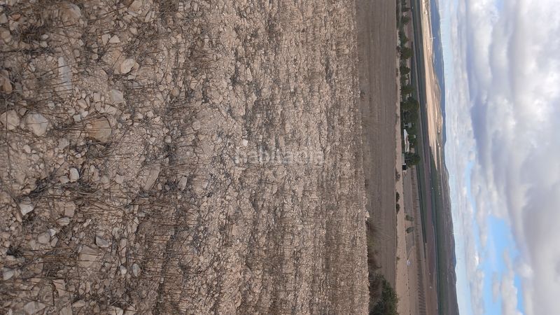 Foto 4c0c5eab-e5e4-4661-9ae6-1948fd4e5732. Finca rústica a Yecla