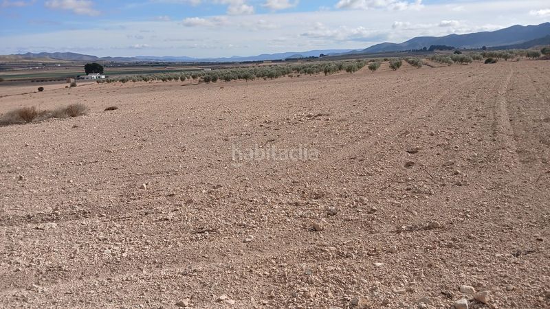 Foto 59562017-d370-4d3c-b4eb-b0acf47fb5fb. Finca rústica a Yecla