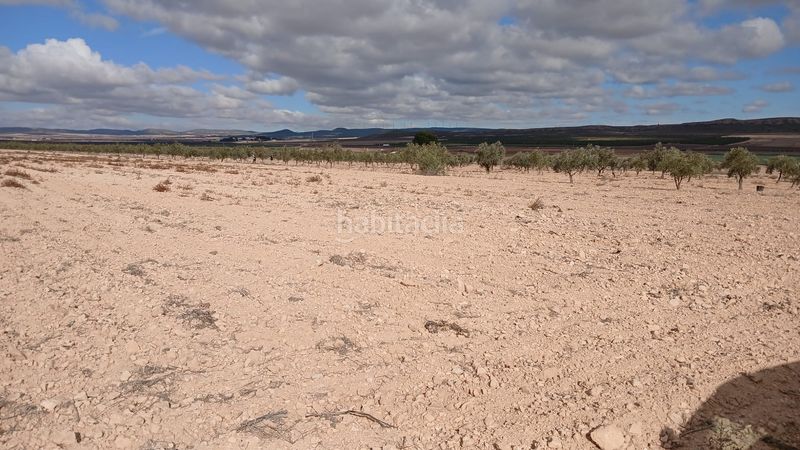 Foto 5a651ad7-7e20-49a1-bf6c-baf2bbf53a50. Finca rústica a Yecla