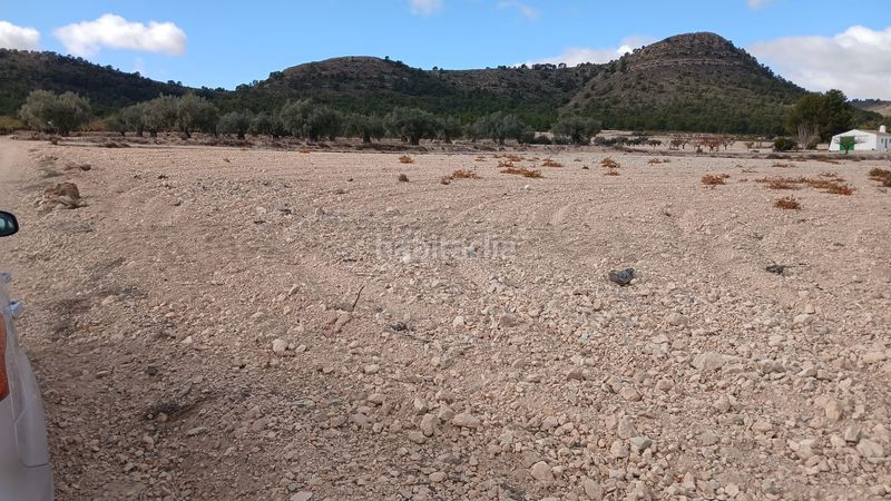Foto 8380a2e7-9a61-4ded-b6c4-db07dc487e82. Finca rústica a Yecla