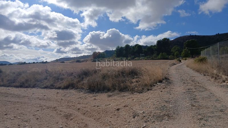 Foto 95458823-9bae-4e11-9a7b-890519d42281. Finca rústica a Yecla