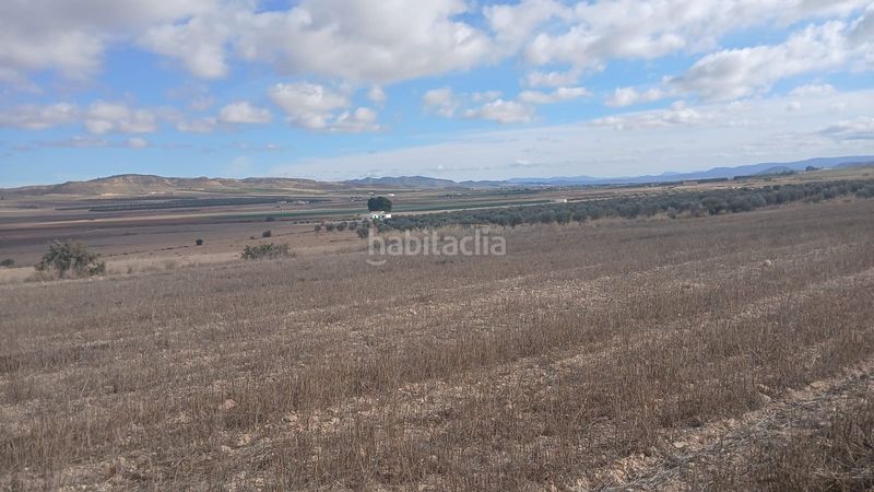 Foto 97b5c050-a34e-499f-86d4-ba64f2f02dc2. Finca rústica a Yecla