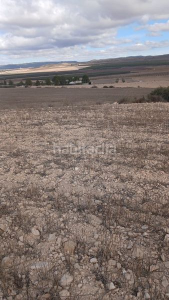 Foto adf6679b-b185-4569-ab3b-a137f8d1c38e. Finca rústica a Yecla