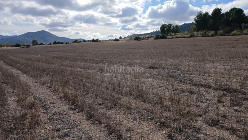Foto b3f43805-87e7-4dbc-b506-b5384d68d81f. Finca rústica a Yecla