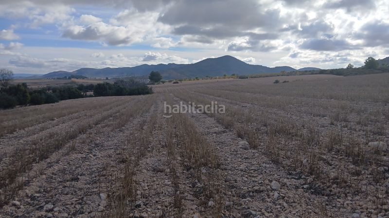 Foto c982a91e-db5c-45ed-9735-e312abbd9d61. Finca rústica a Yecla