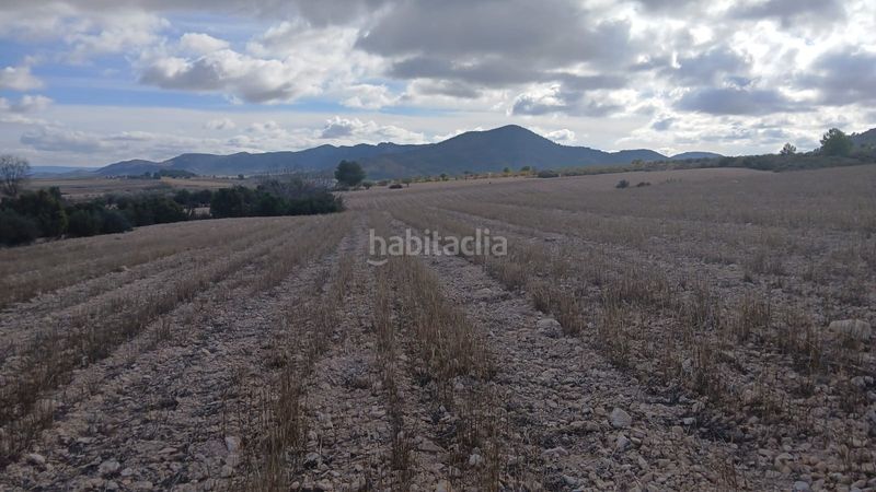 Foto d0c04db4-7c4f-4661-a355-6198a1445d7f. Finca rústica a Yecla