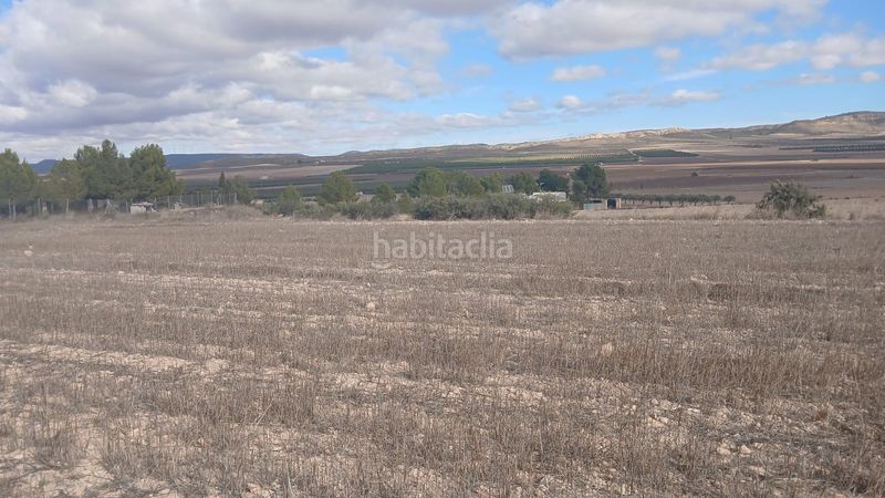 Foto dfdb53c7-0789-4f09-a0b3-f7117d8d71a4. Finca rústica a Yecla