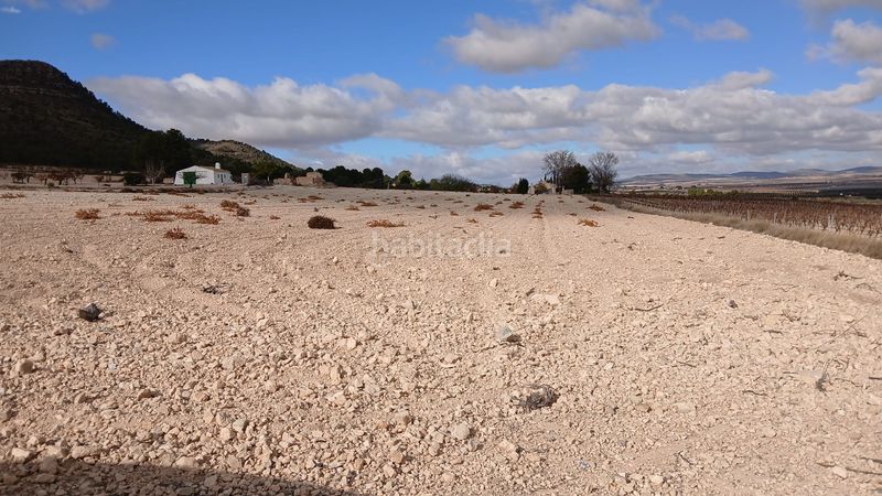 Foto f8d37dc7-725e-483f-a0cb-8b903f9e169a. Finca rústica a Yecla