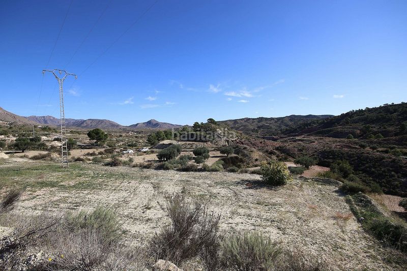 Foto 4f72efa2-6c06-4126-a864-3845c0a22054. Finca rústica a Abanilla
