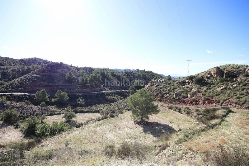 Foto 87f0ade7-6850-4d5b-9f18-9ee1bcbba98c. Finca rústica a Abanilla
