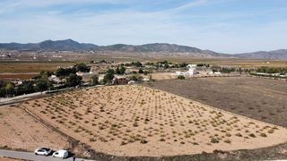 Landgut in Pinoso