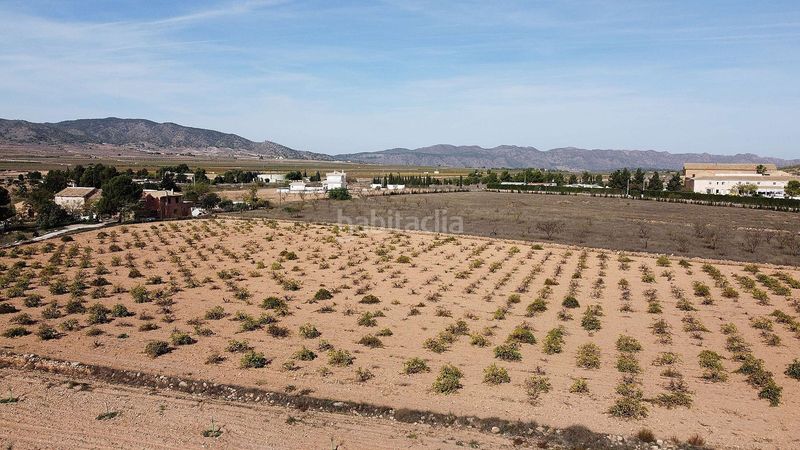 Foto 805a8853-ed10-4d66-b13b-f269169aa877. Finca rústica a Pinoso