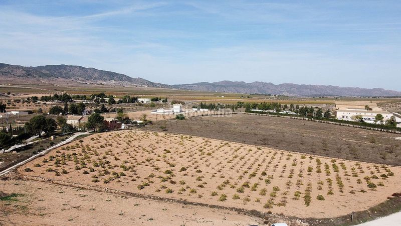 Foto a354ec7e-0c80-4c2d-804c-cb32444d7e66. Finca rústica a Pinoso