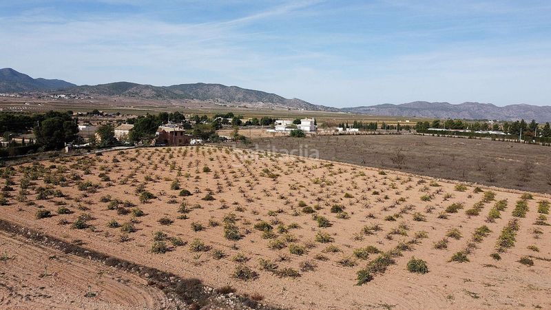 Foto ad135092-fa90-44da-9e37-45ba7b4f6eb4. Finca rústica a Pinoso