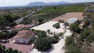 Chalet in Crevillente