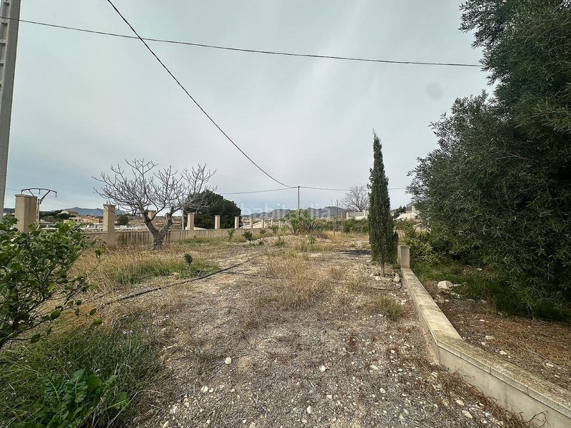 Foto 5b20d407-1028-4cac-a306-c4063cb73763. Masia a Novelda