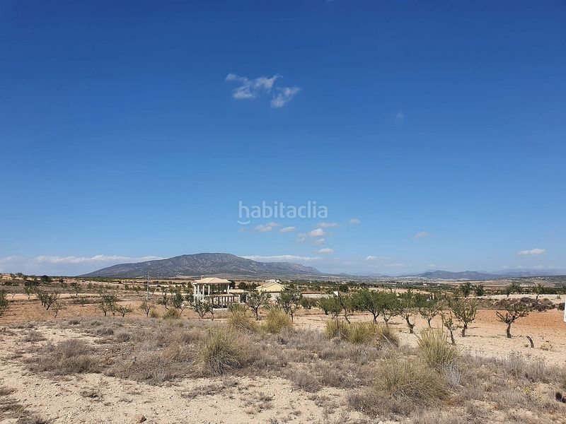 Foto bcf44901-623c-45a0-8d7c-03e7a8c4df6d. Chalet en Pinoso