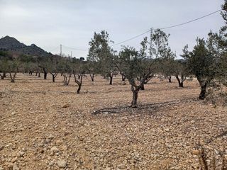 Propriété à Romana (la)