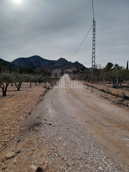 Foto 5014e29f-2366-48cd-b7f4-ede0c637c4d1. Finca rústica a Romana (la)