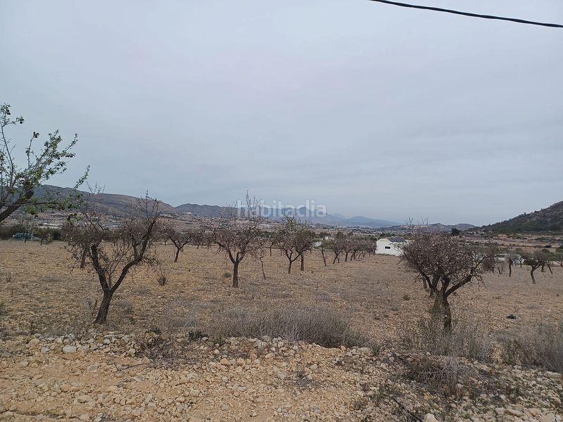 Foto 70900c56-3870-4845-ad7b-f4b704d65a47. Finca rústica a Romana (la)