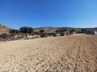 Landgut in Pinoso