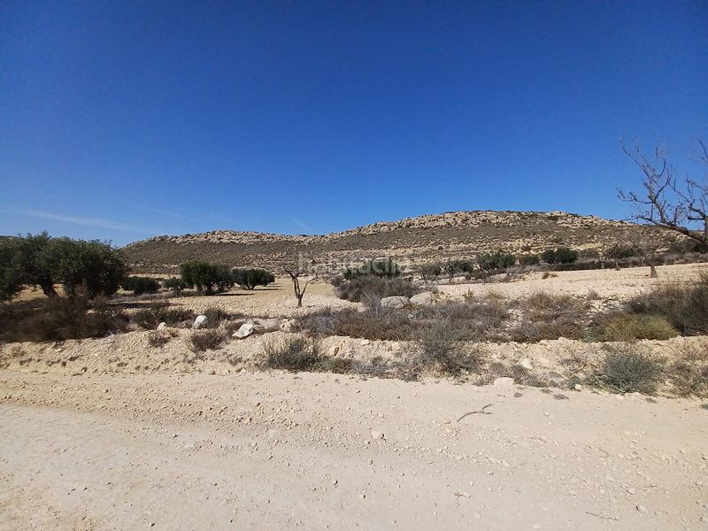 Foto 5cfbc580-3be6-4eff-aaf0-d37c895bd7a8. Finca rústica en Pinoso