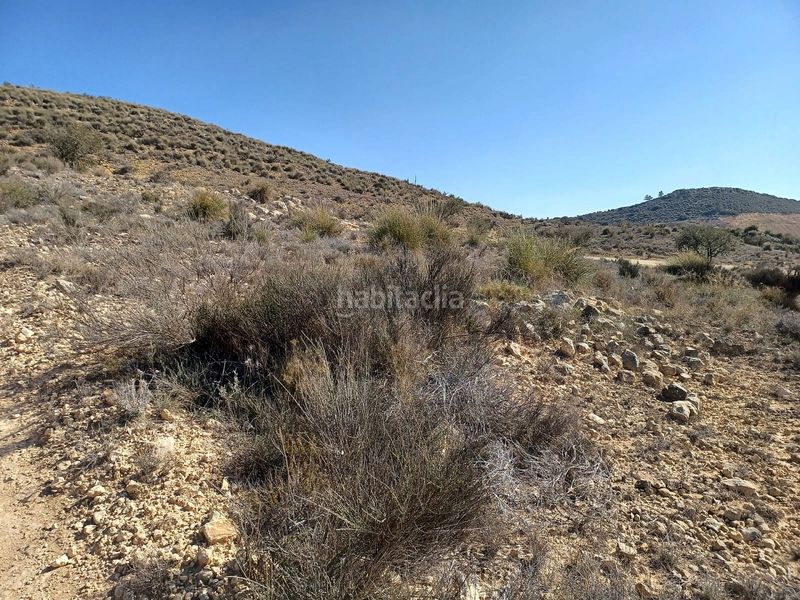 Foto a7ba56ee-41e8-4aba-9e39-1cc2dc57ca67. Finca rústica en Pinoso