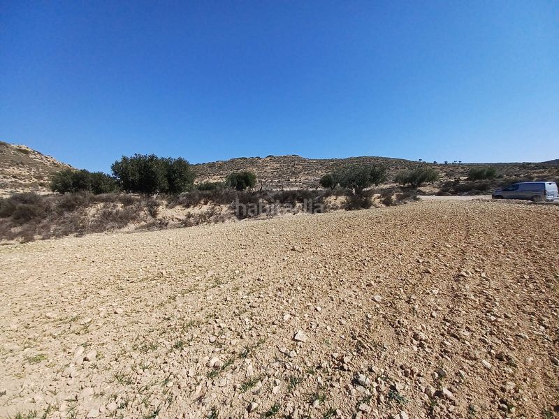 Foto bd32ac30-d633-4bf6-81dd-6b54e1c2d02c. Finca rústica en Pinoso