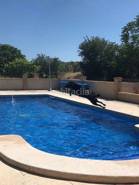 Foto e6d2c74f-54bf-4371-863f-87a9be4e180f. Masia a Yecla