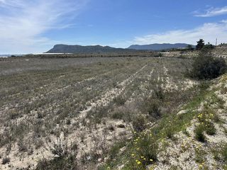 Rural plot in Hondón de las Nieves