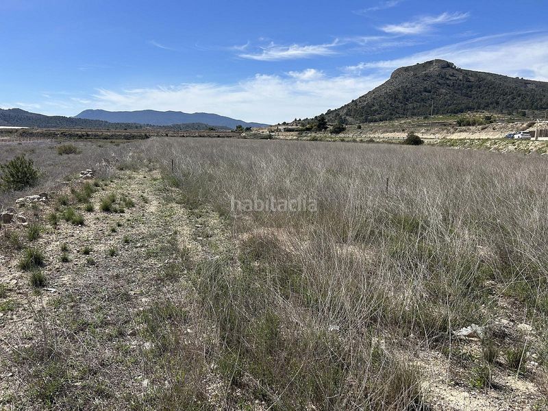 Foto e6a6686d-e7ad-4994-9572-c5da1da3ff66. Finca rústica a Hondón de las Nieves