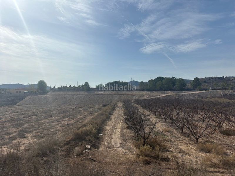 Foto d84f0b72-2ab9-4916-910d-f50d517ee595. Finca rústica en Monòver