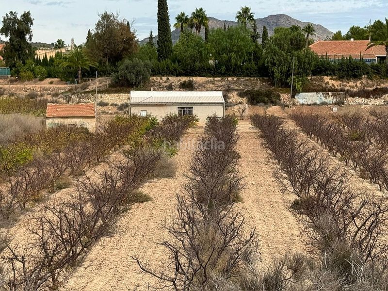Foto e29f6adb-3b2f-48a5-924d-424f58e02f4d. Finca rústica en Monòver