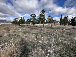 Finca rústica a Salinas