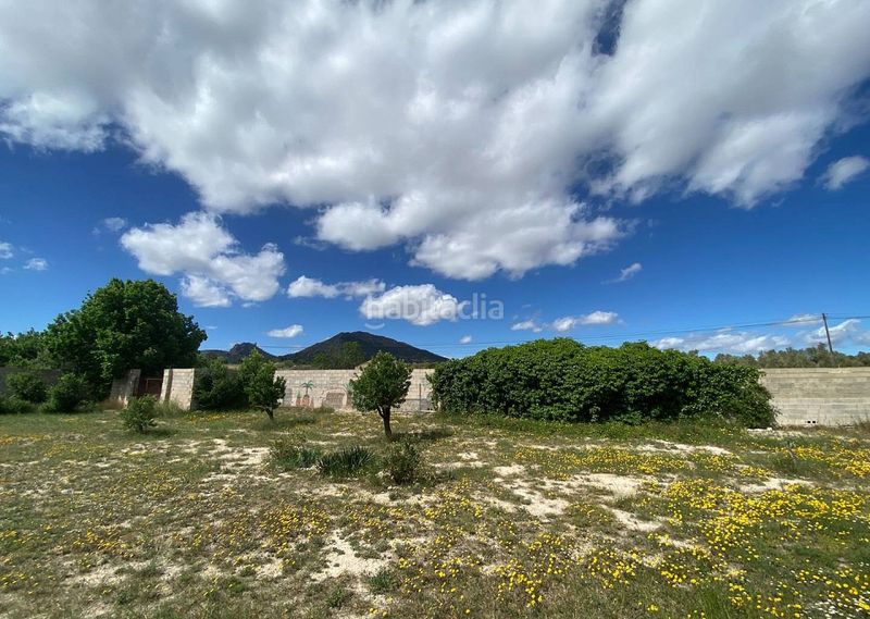 Foto 3b6a7296-2139-42da-a0db-ffbeda732c13. Masia a Sax